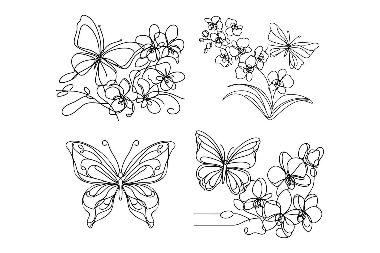 butterfly with Orchid flowers, vector
