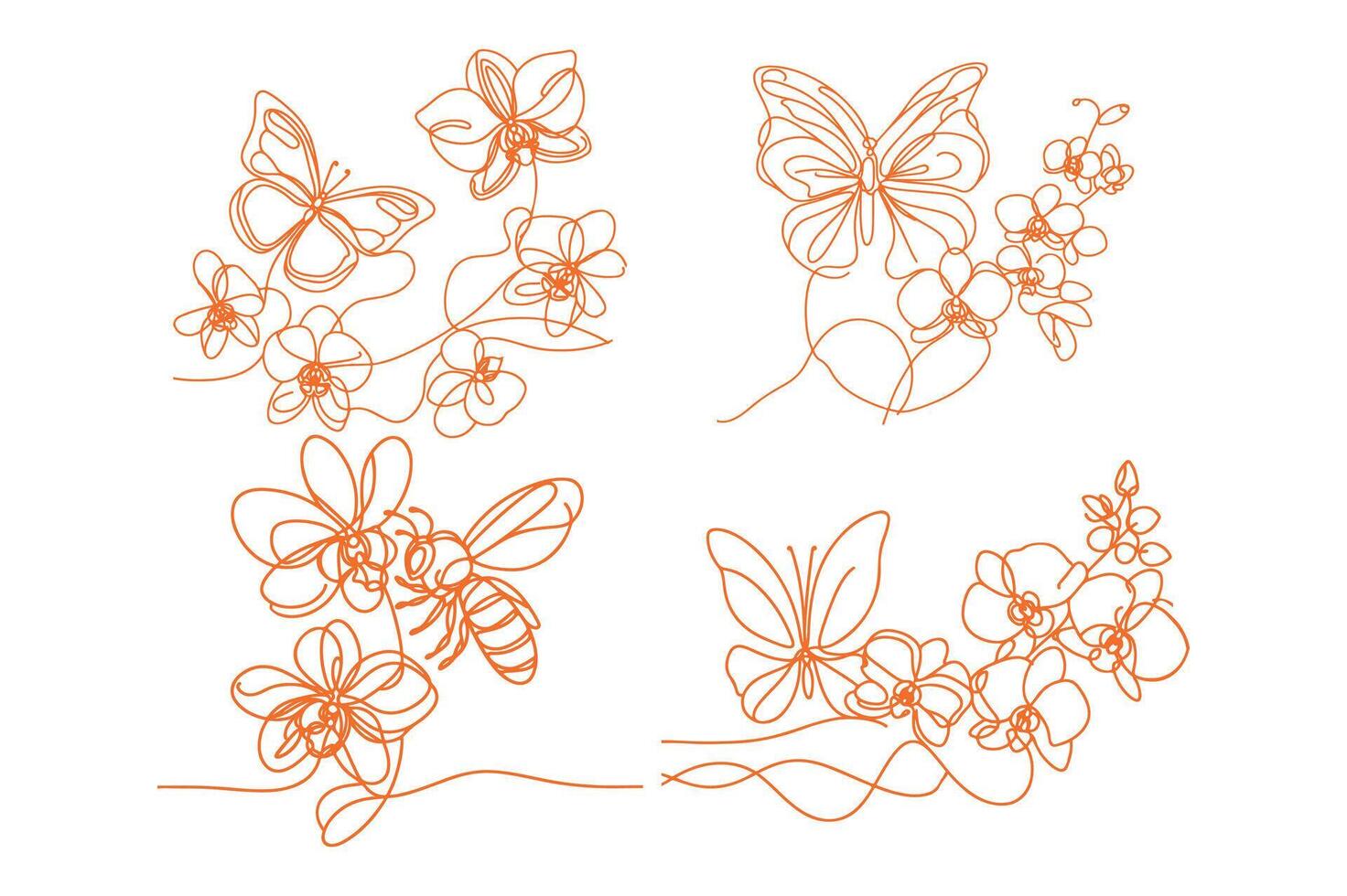 butterfly with Orchid flowers, vector