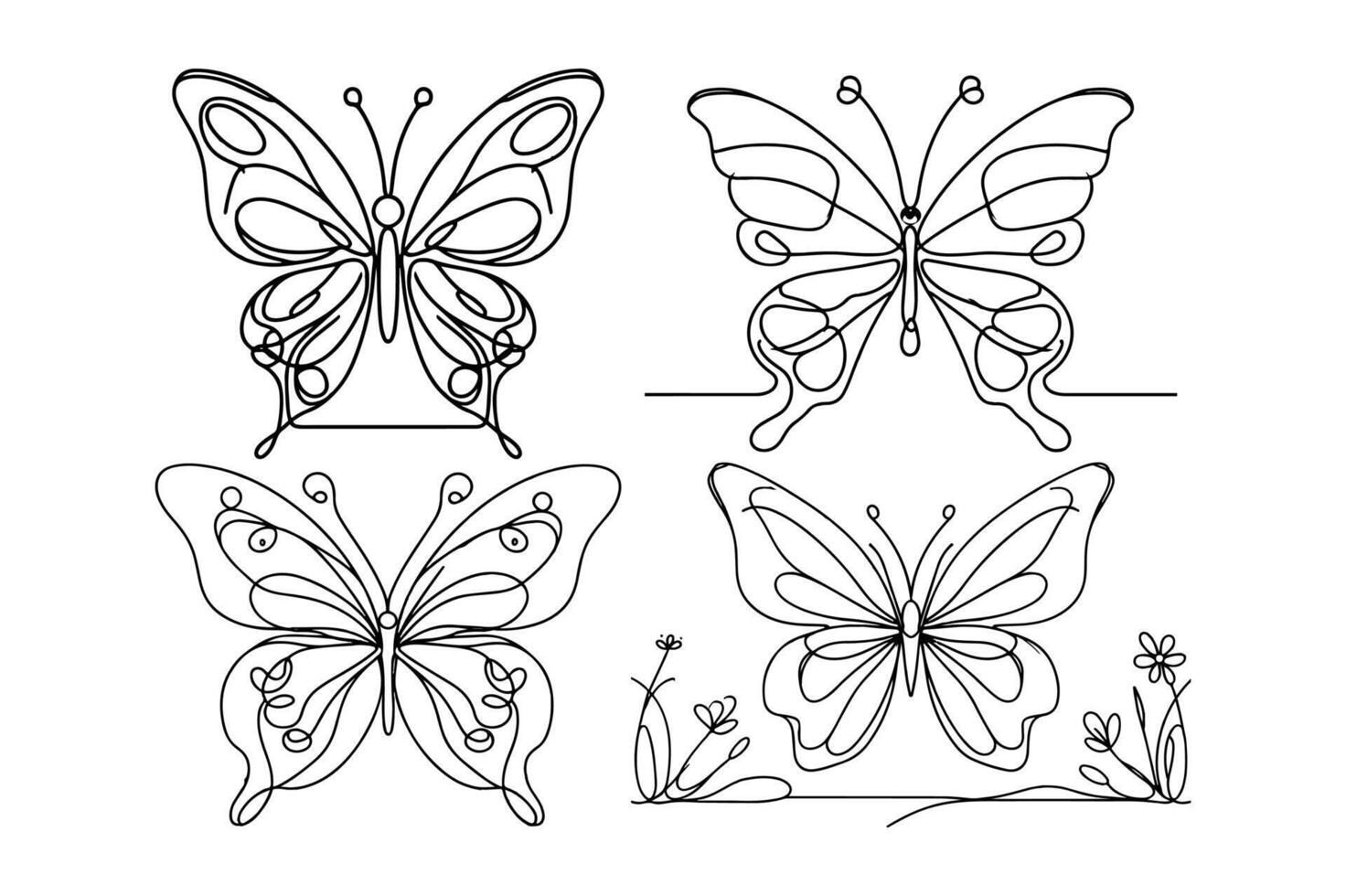 butterfly with Orchid flowers, vector