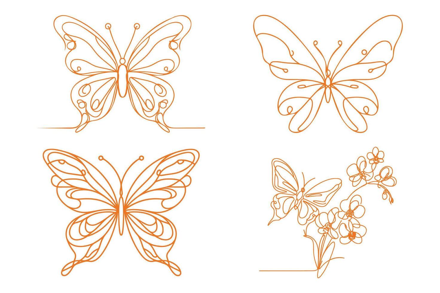 butterfly with Orchid flowers, vector