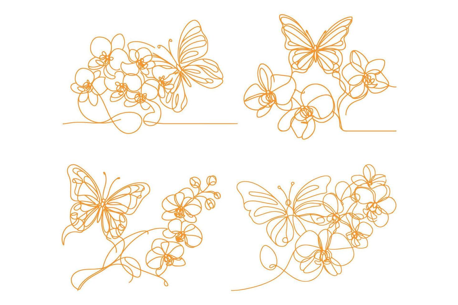 butterfly with Orchid flowers, vector