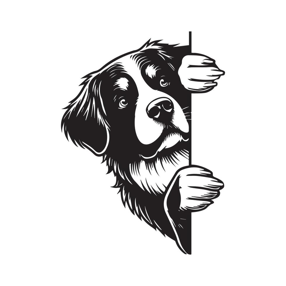 Bernese Mountain dog peeking face - dog face logo illustration in black and white vector