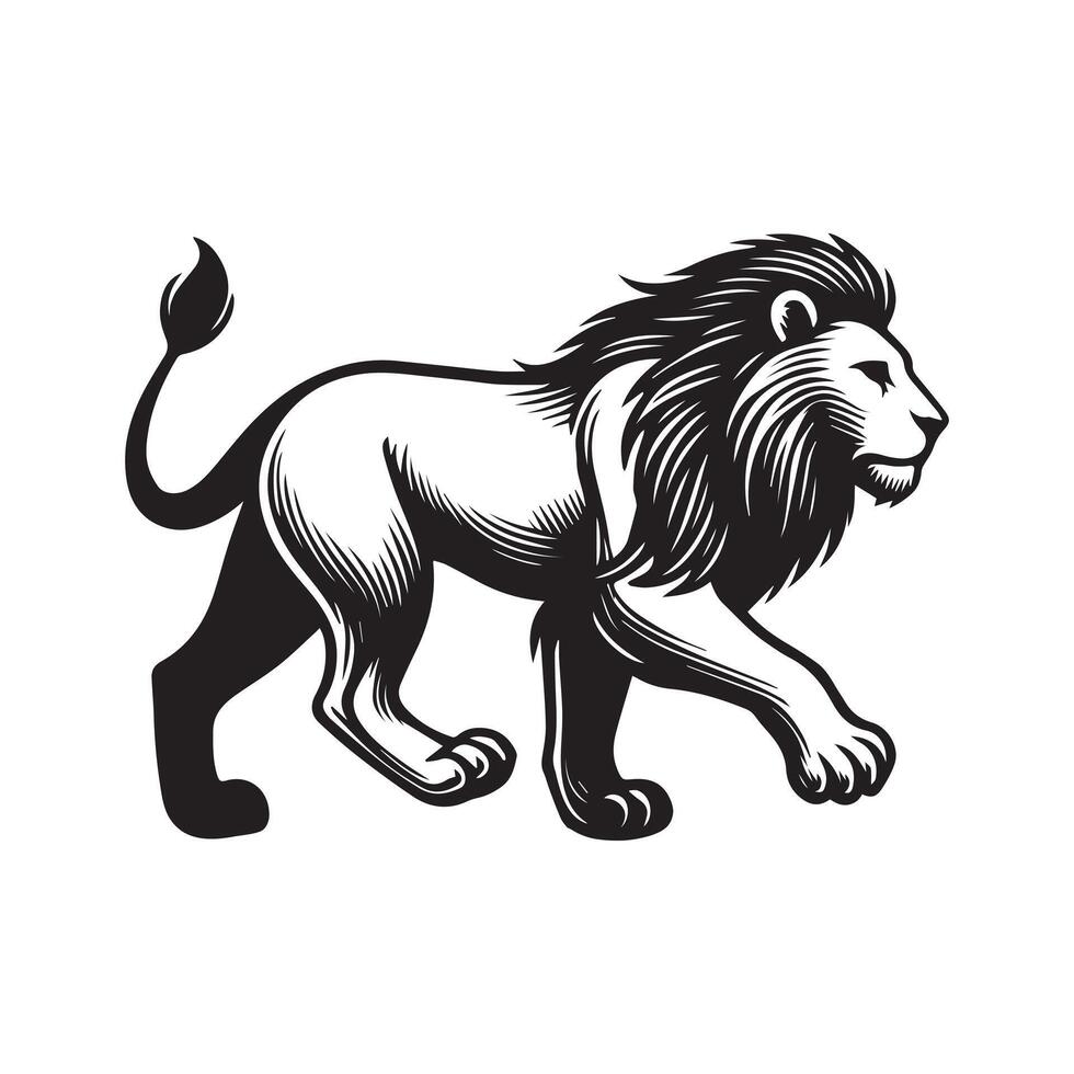 A lion Walking Stealthily illustration in black and white vector
