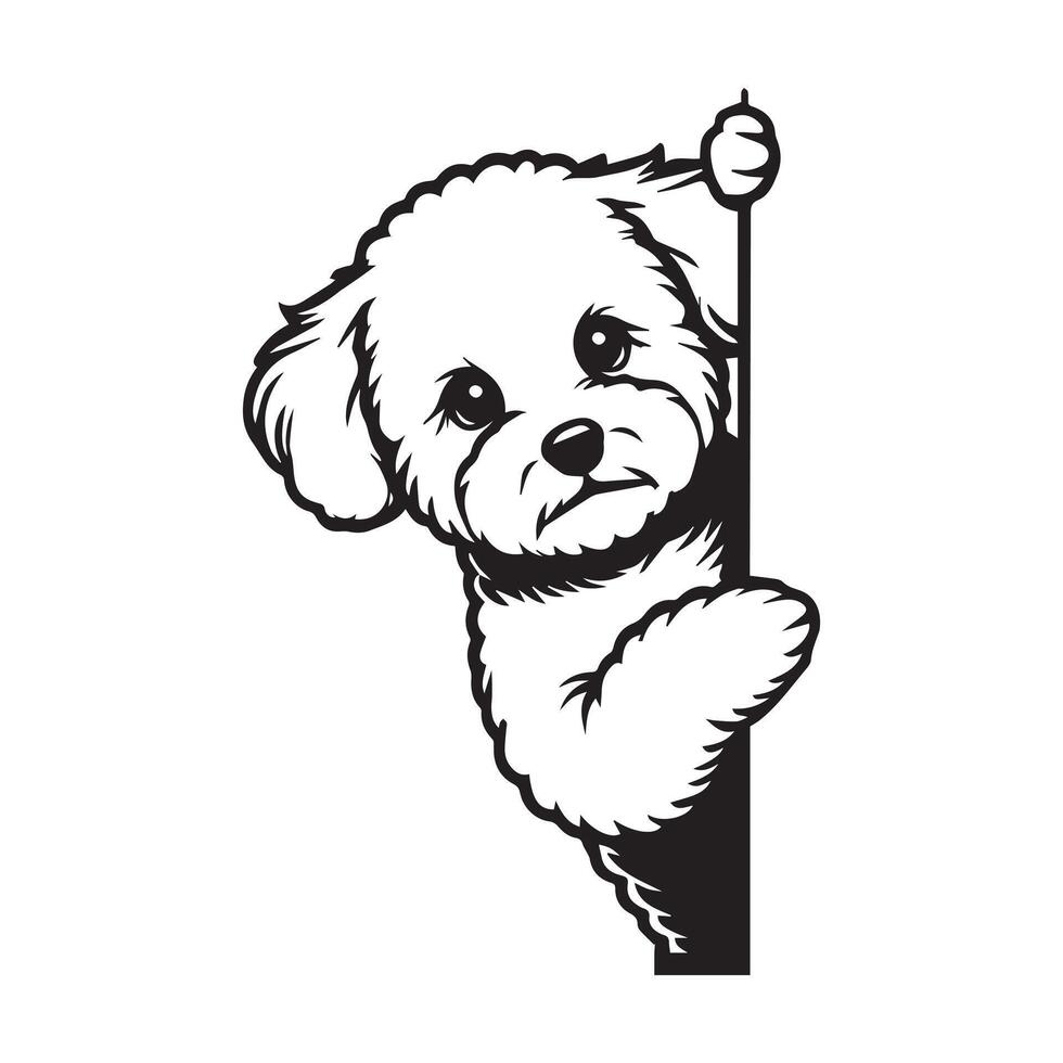 Bichon Frise dog peeking face - dog face logo illustration in black and white vector