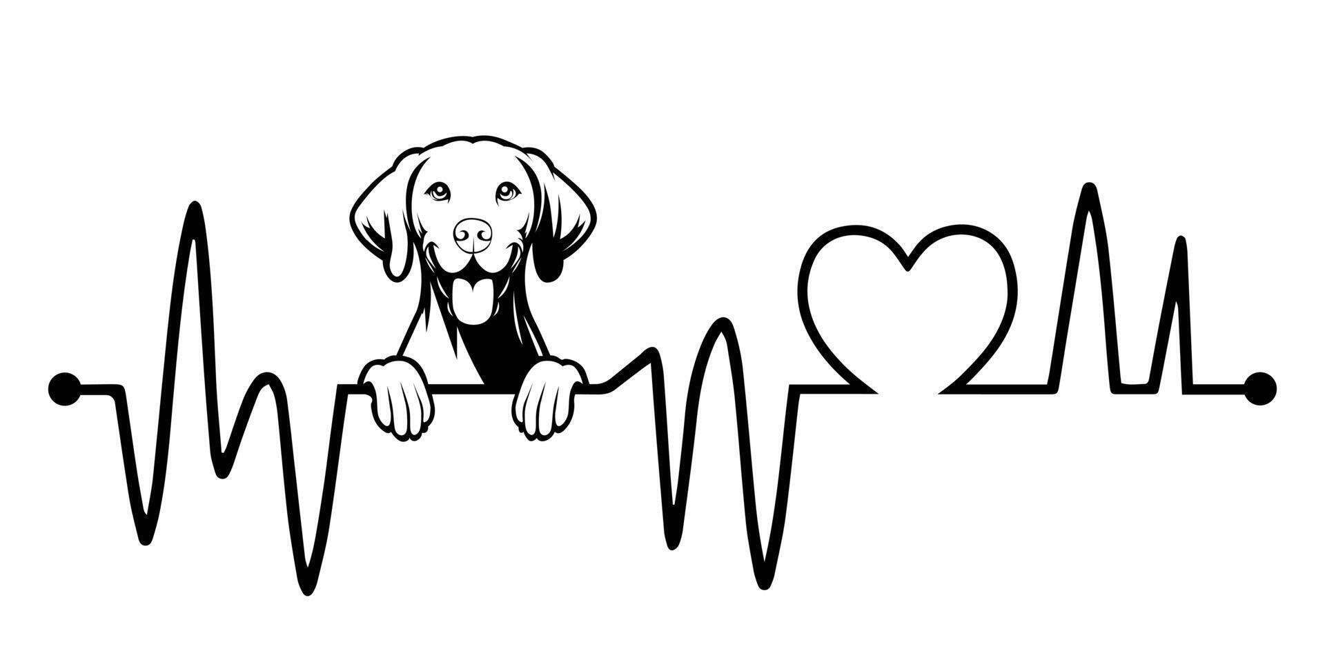 Heartbeat pulse line with Vizsla Dog Peeking - Dog and Heartbeat frequency wave with Heart Love illustration vector