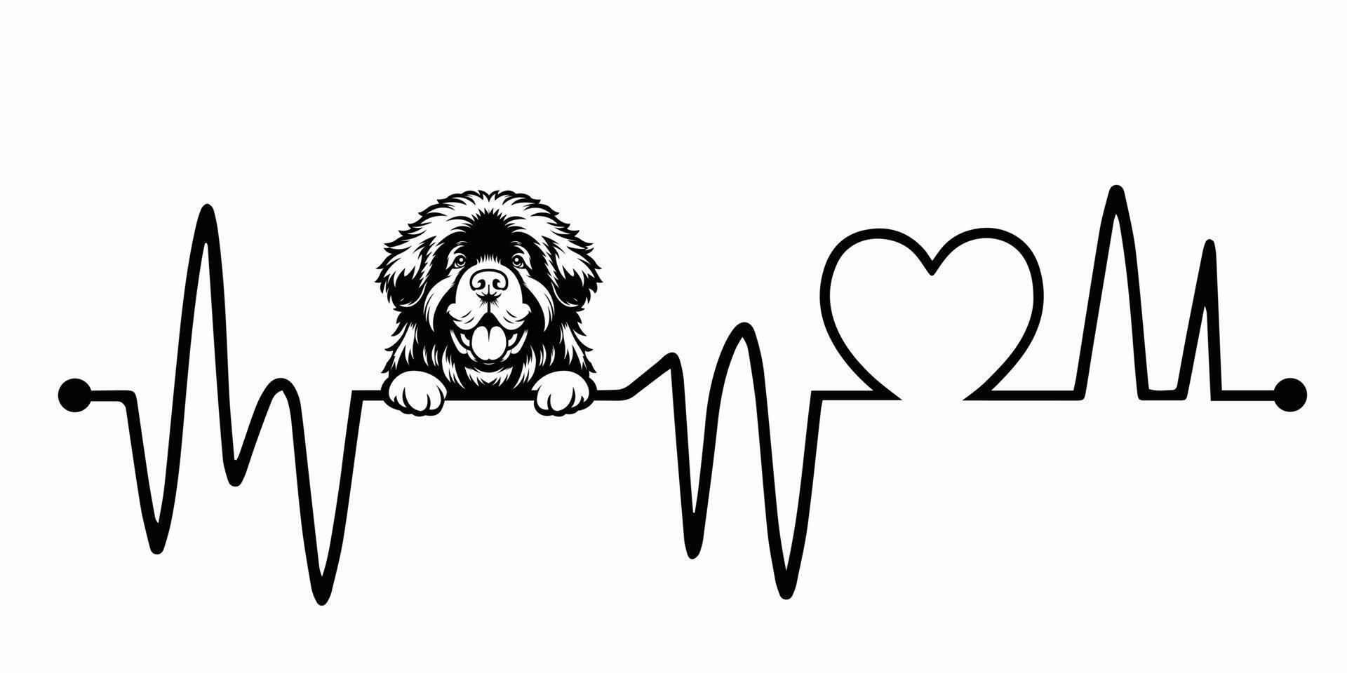 Heartbeat pulse line with Newfoundland Dog Peeking - Dog and Heartbeat frequency wave with Heart Love illustration vector