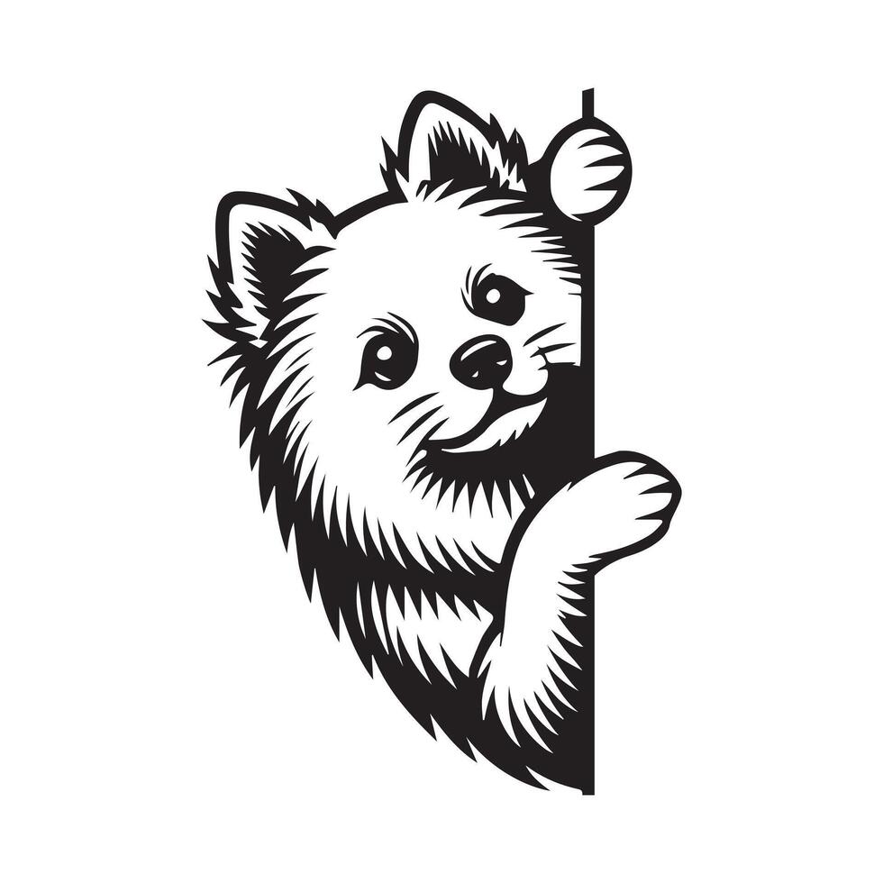 American Eskimo dog peeking face - dog face logo illustration in black and white vector