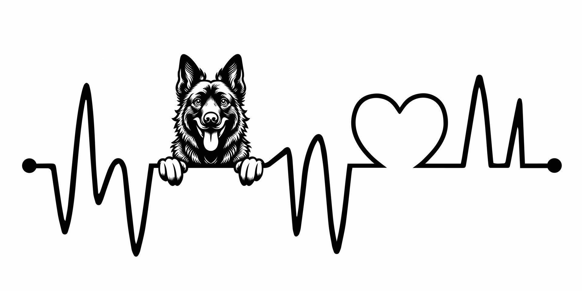 Heartbeat pulse line with Dutch Shepherd Dog Peeking - Dog and Cardiogram wave with Heart Love illustration vector