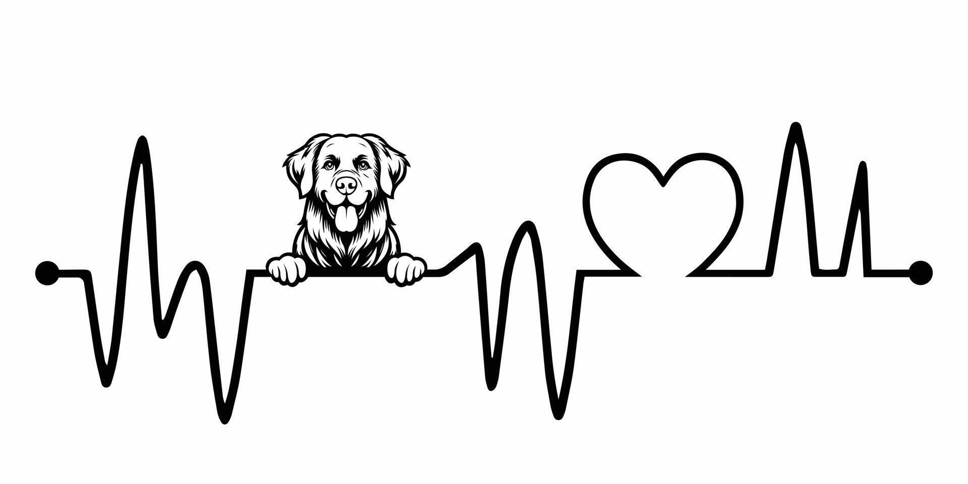 Heartbeat pulse line with Chesapeake Bay Retriever Dog Peeking - Dog and Heartbeat frequency wave with Heart Love illustration vector