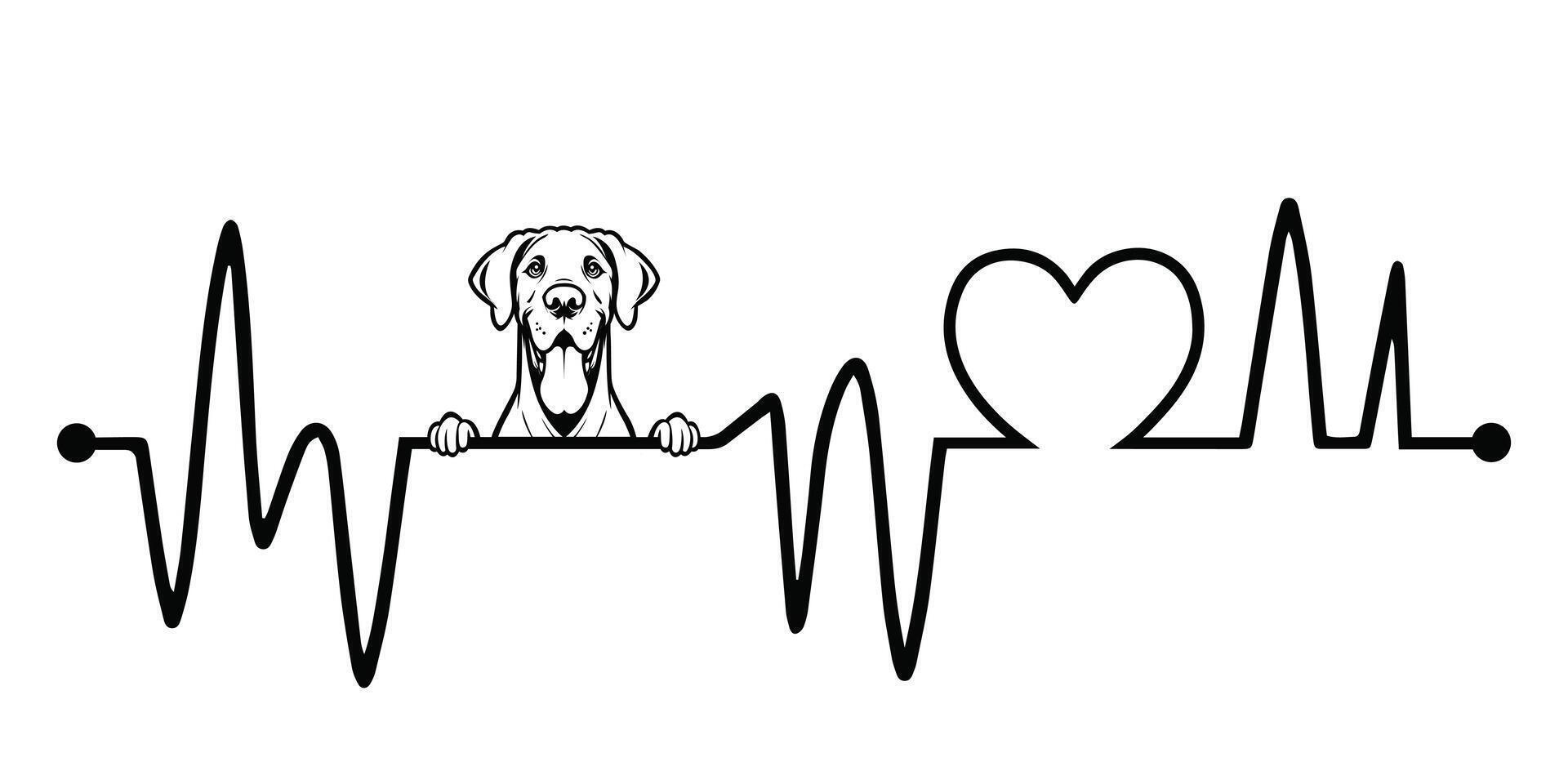 Heartbeat pulse line with Great Dane Dog Peeking - Dog and Cardiogram wave with Heart Love illustration vector