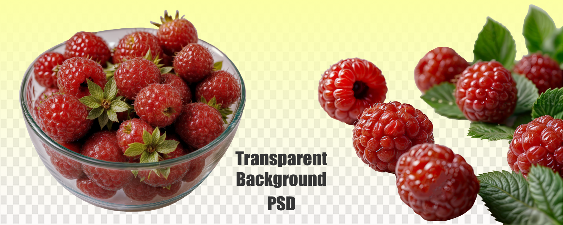 A bowl of ripe raspberries displayed against a clear background, showcasing its vibrant colors and freshness psd