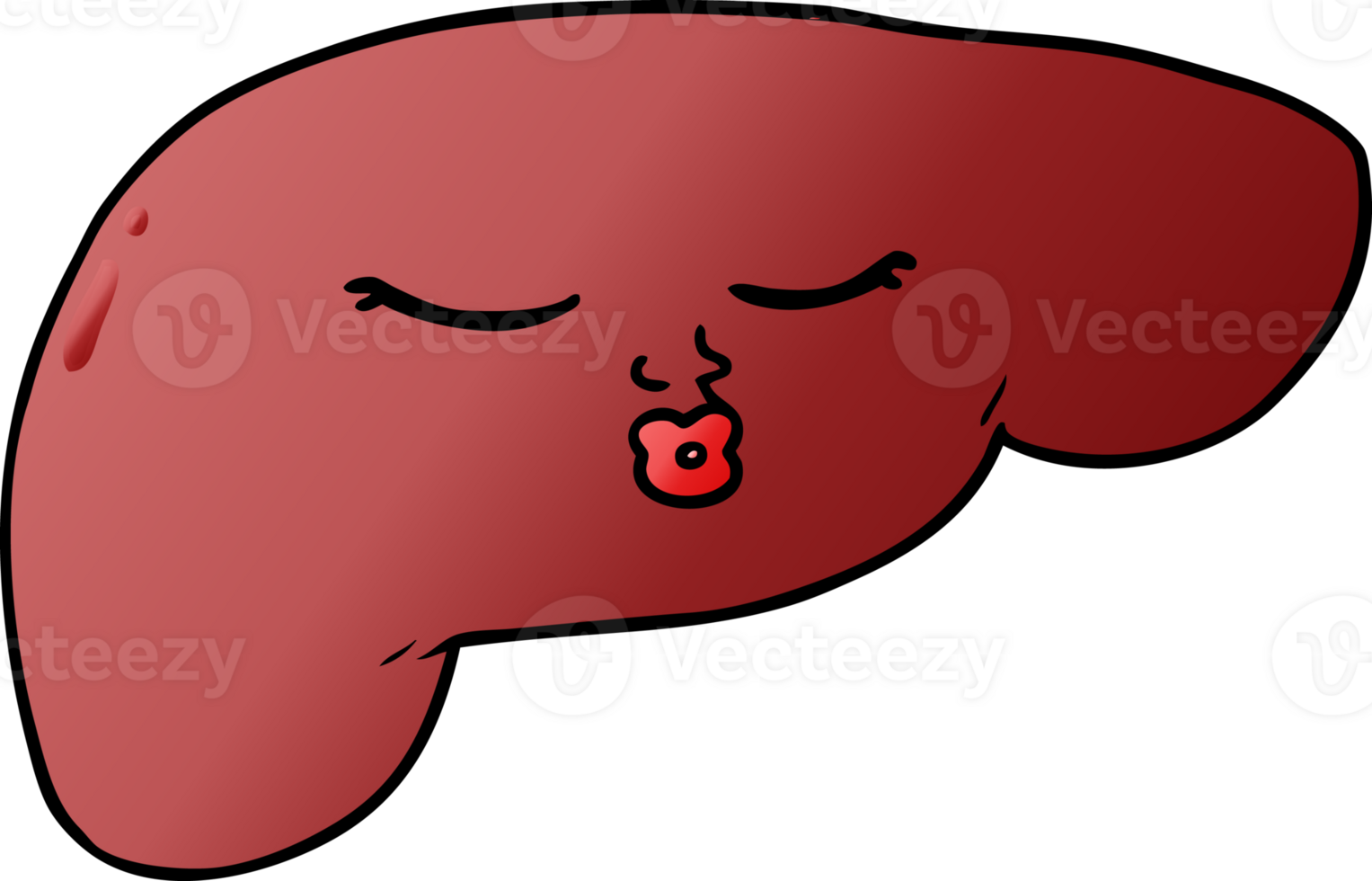 cartoon pretty liver drawing png
