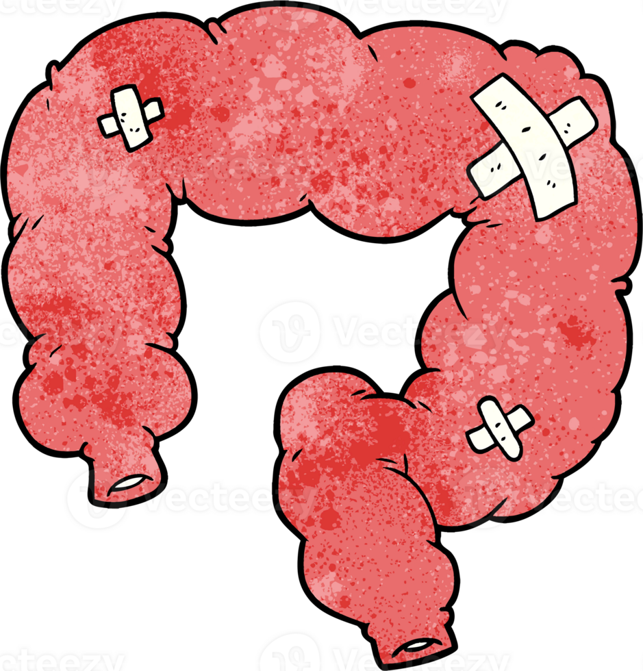 cartoon colon drawing png