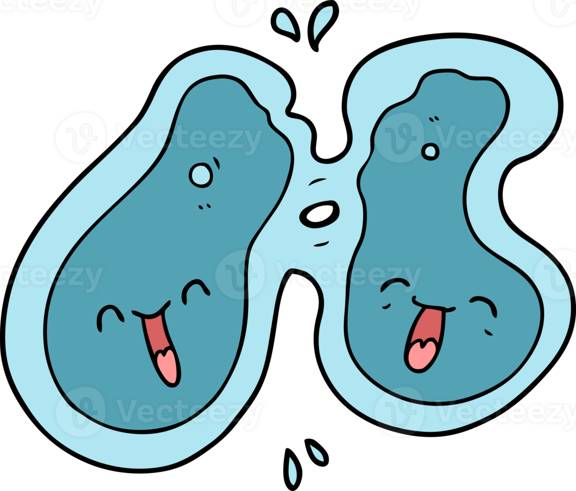 cartoon cell dividing drawing png