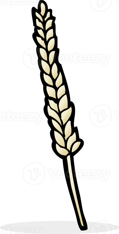 cartoon corn drawing png