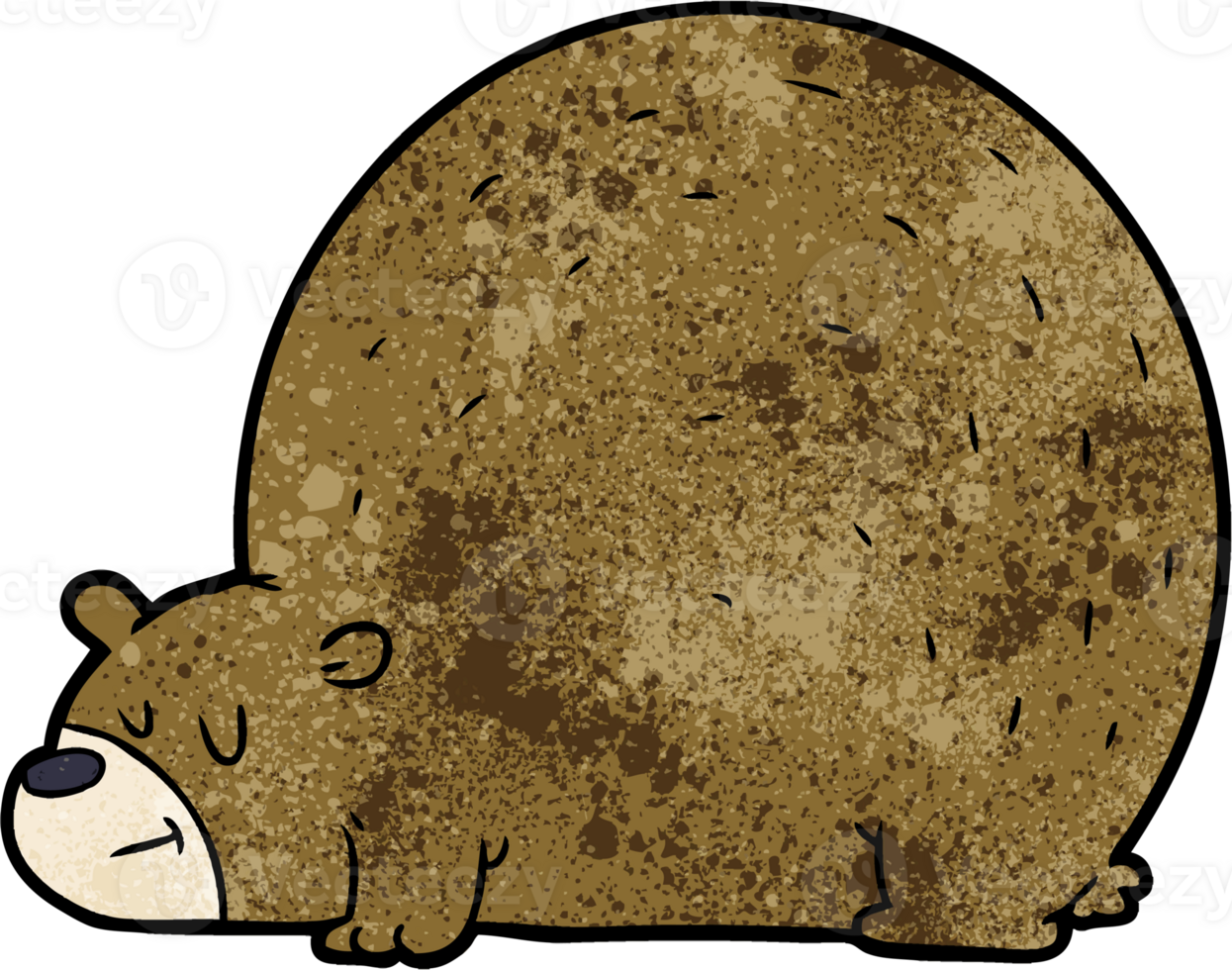 cartoon bear drawing png