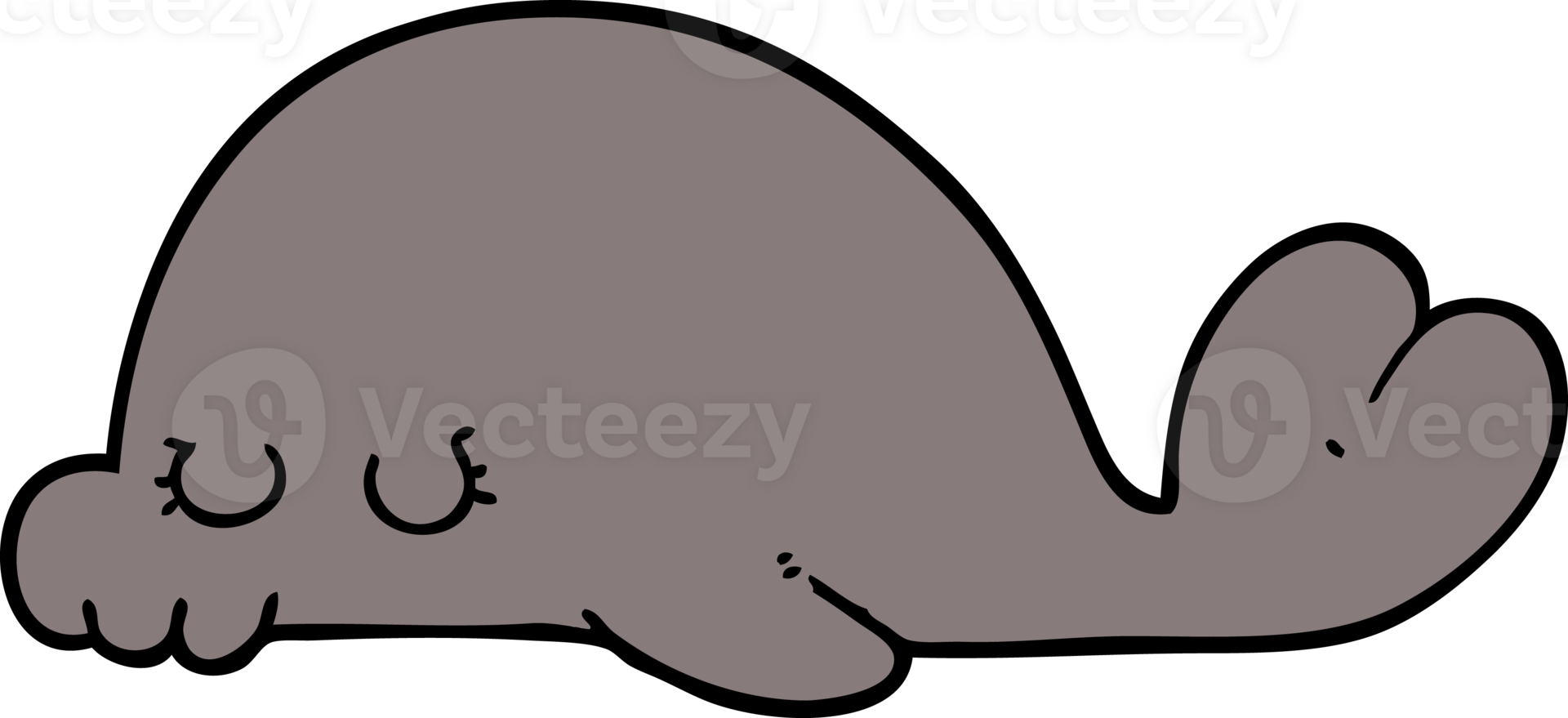 cartoon seal drawing png
