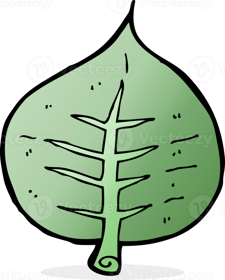 cartoon leaf drawing png