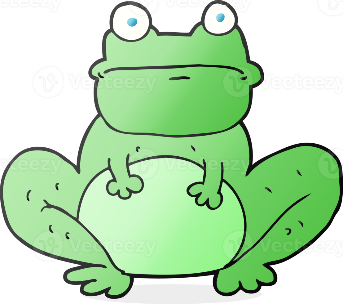 freehand drawn cartoon frog drawing png
