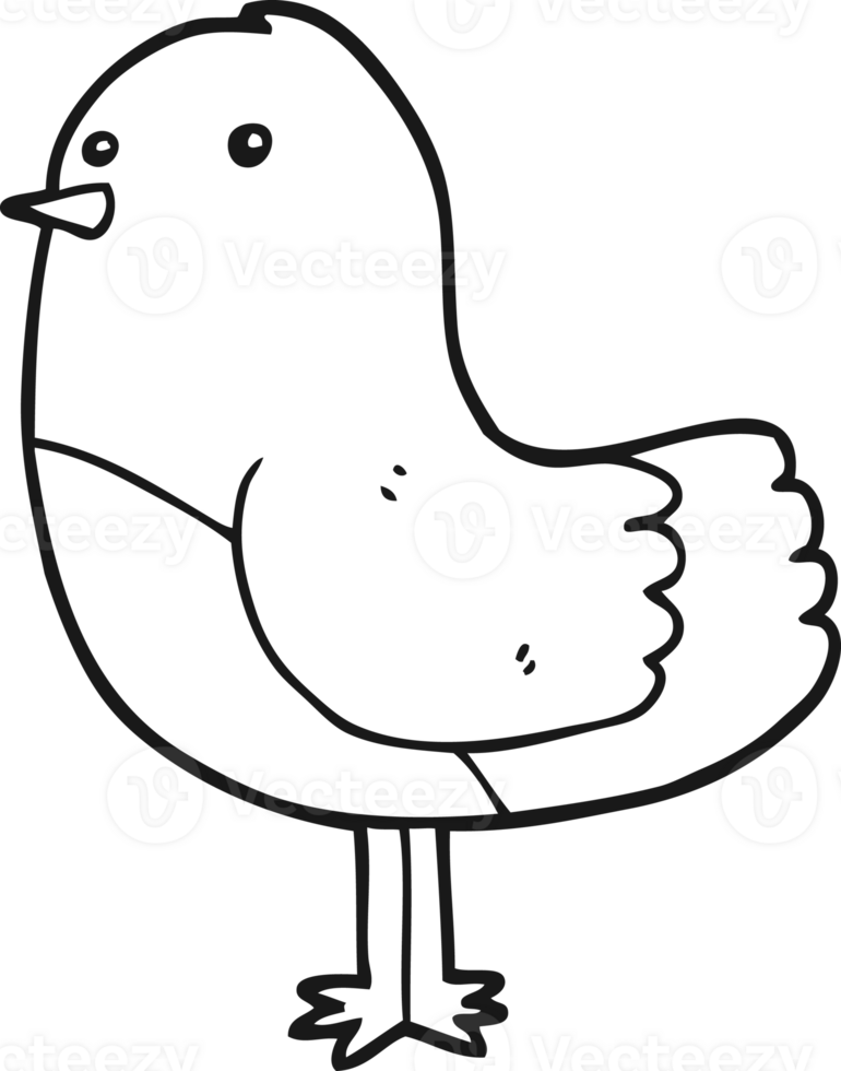 cartoon bird drawing png