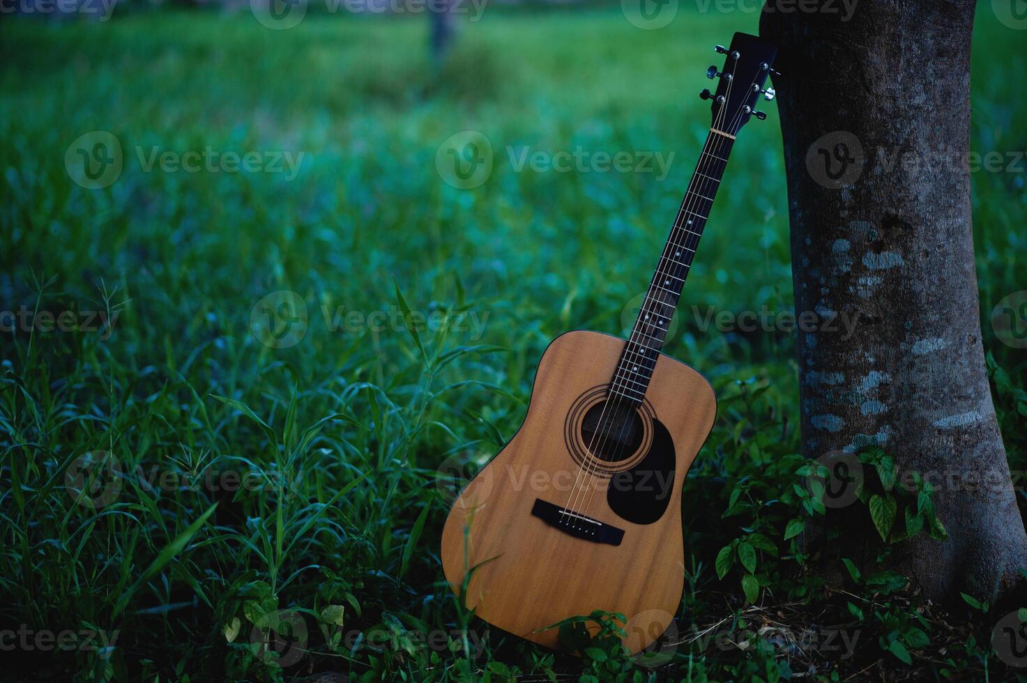 Acoustic guitar, stringed musical instrument, placed in the grass, classical guitar, playing music and relaxing. photo