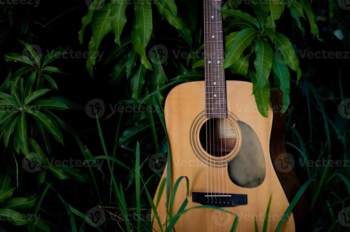 Acoustic guitar, stringed musical instrument, placed in the grass, classical guitar, playing music and relaxing. photo