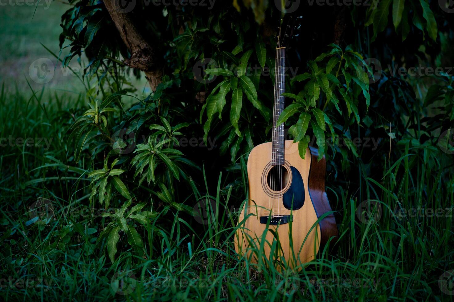 Acoustic guitar, stringed musical instrument, placed in the grass, classical guitar, playing music and relaxing. photo