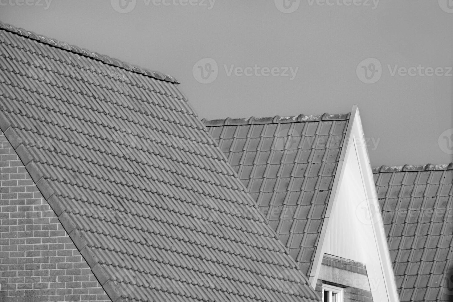 red tile roofs in the sun, greyscale shot photo