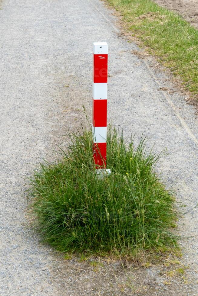 red and white stake with weeds photo