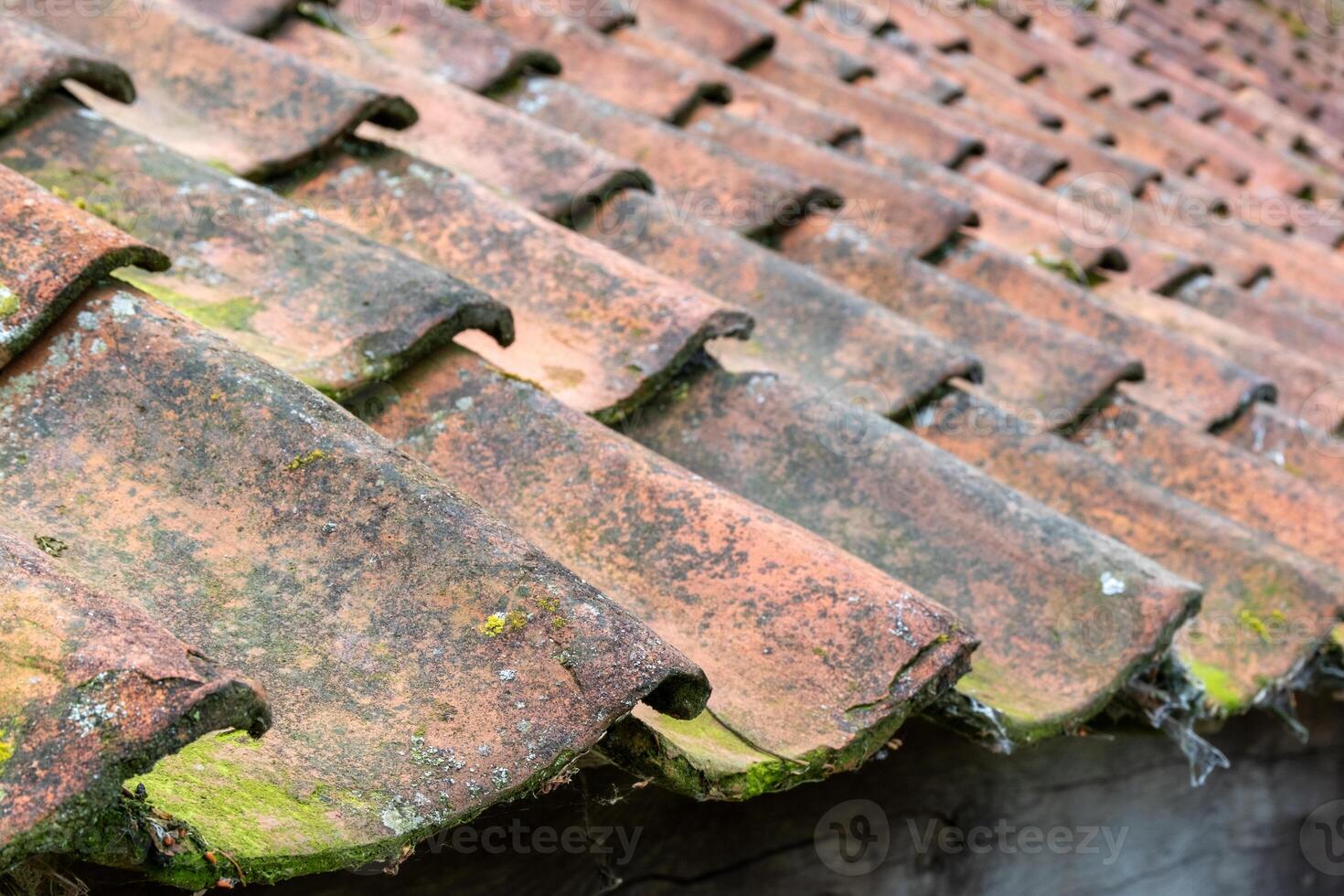 roof with old clay tiles and moss photo