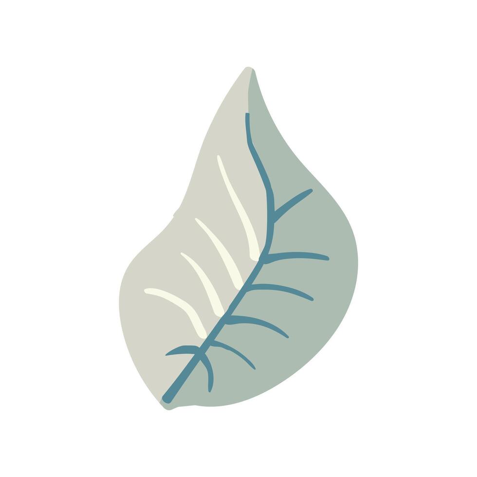 Folk plant. Plain gray sheet. Autumn botany. Minimalist style. Flat isolated vector