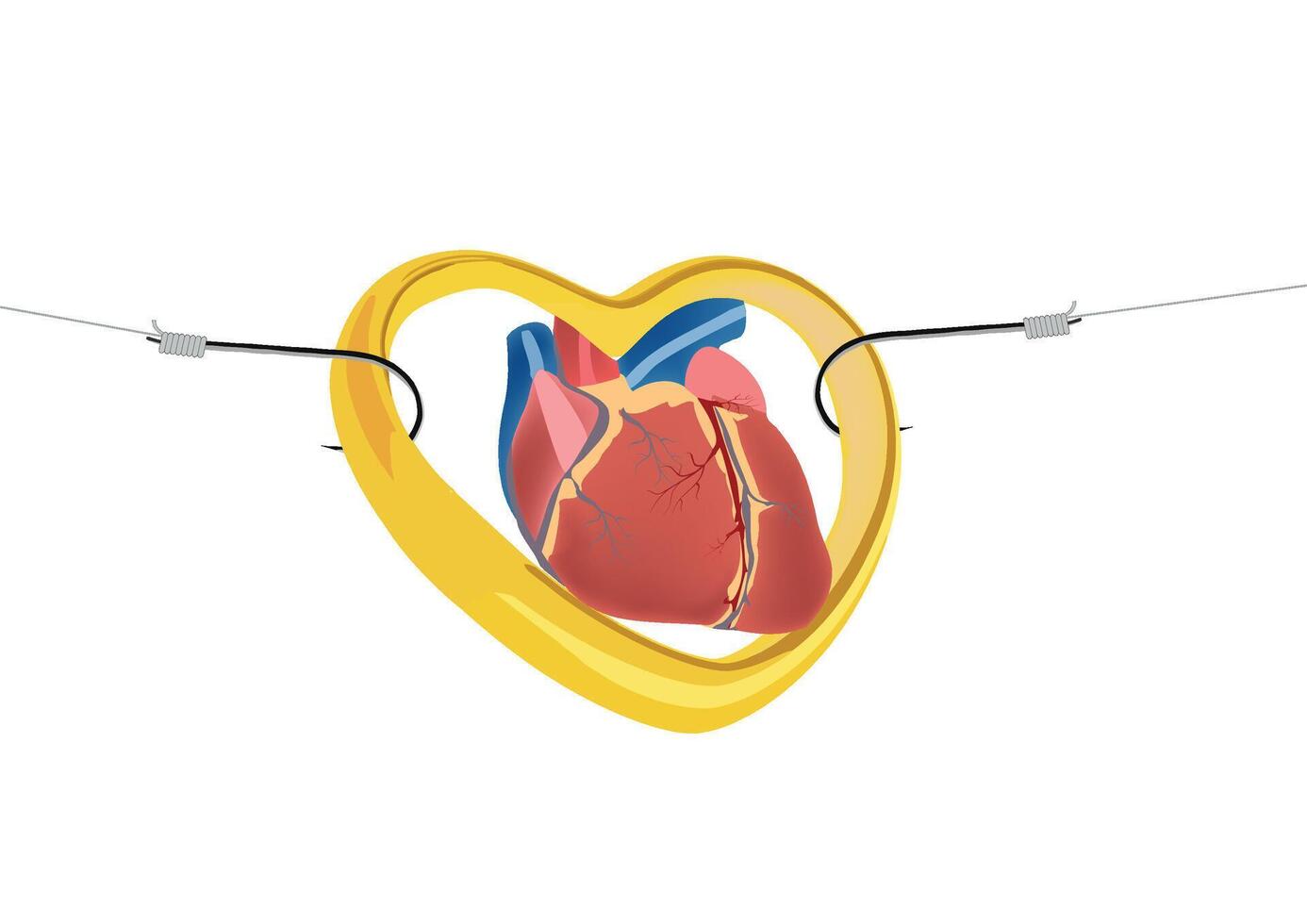 human heart on hooks vector