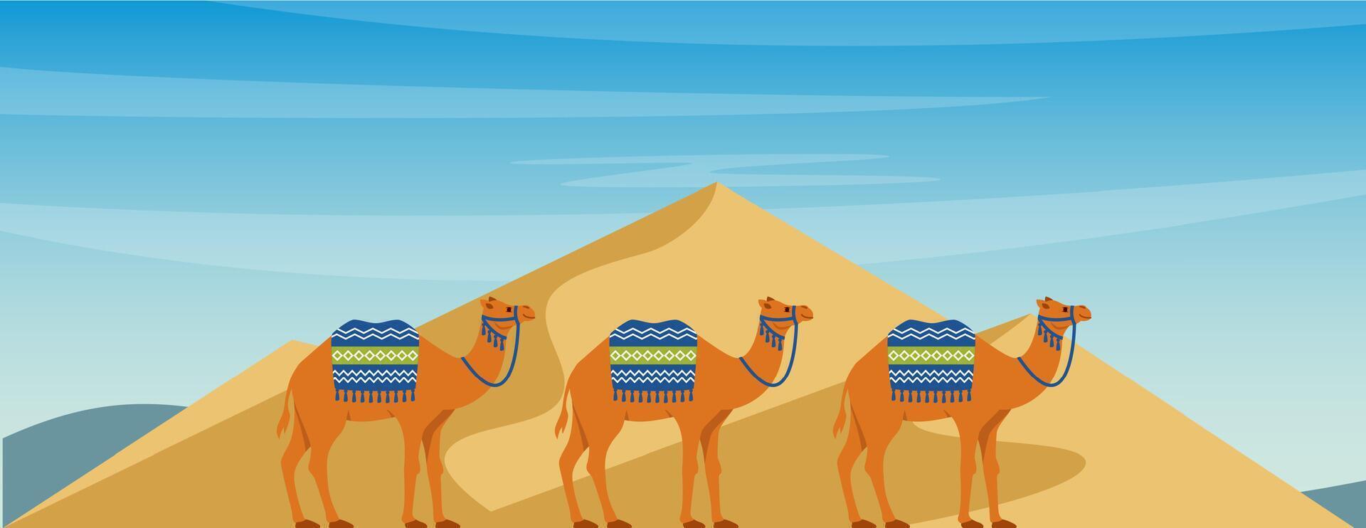 Sand desert landscape template with camel caravan going through dunes at day time. illustration. vector