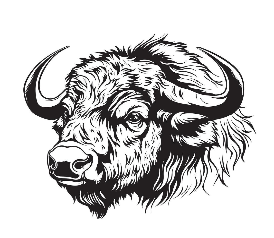Hand sketch bison. vector