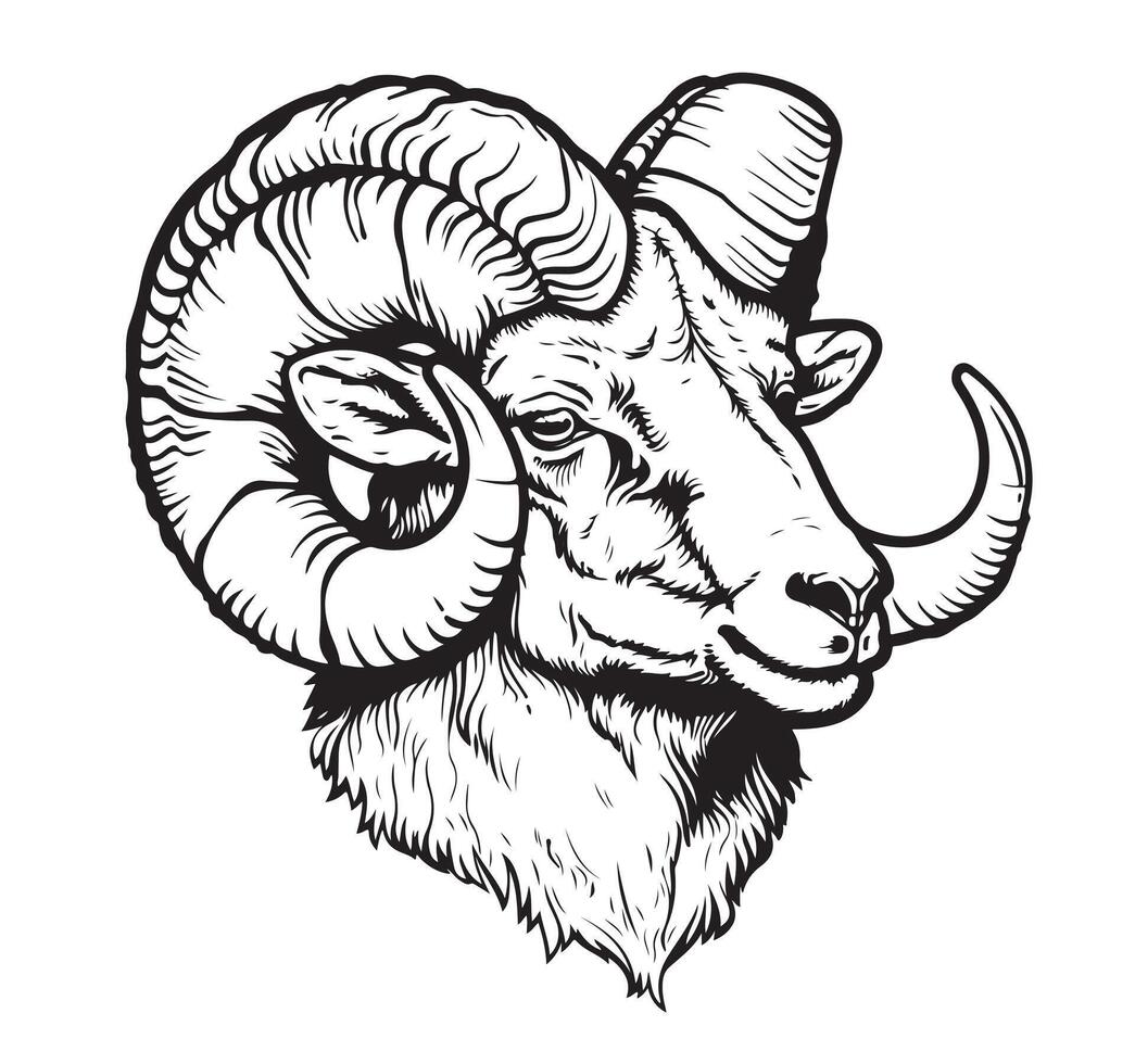 Portrait of a ram head sketch vector