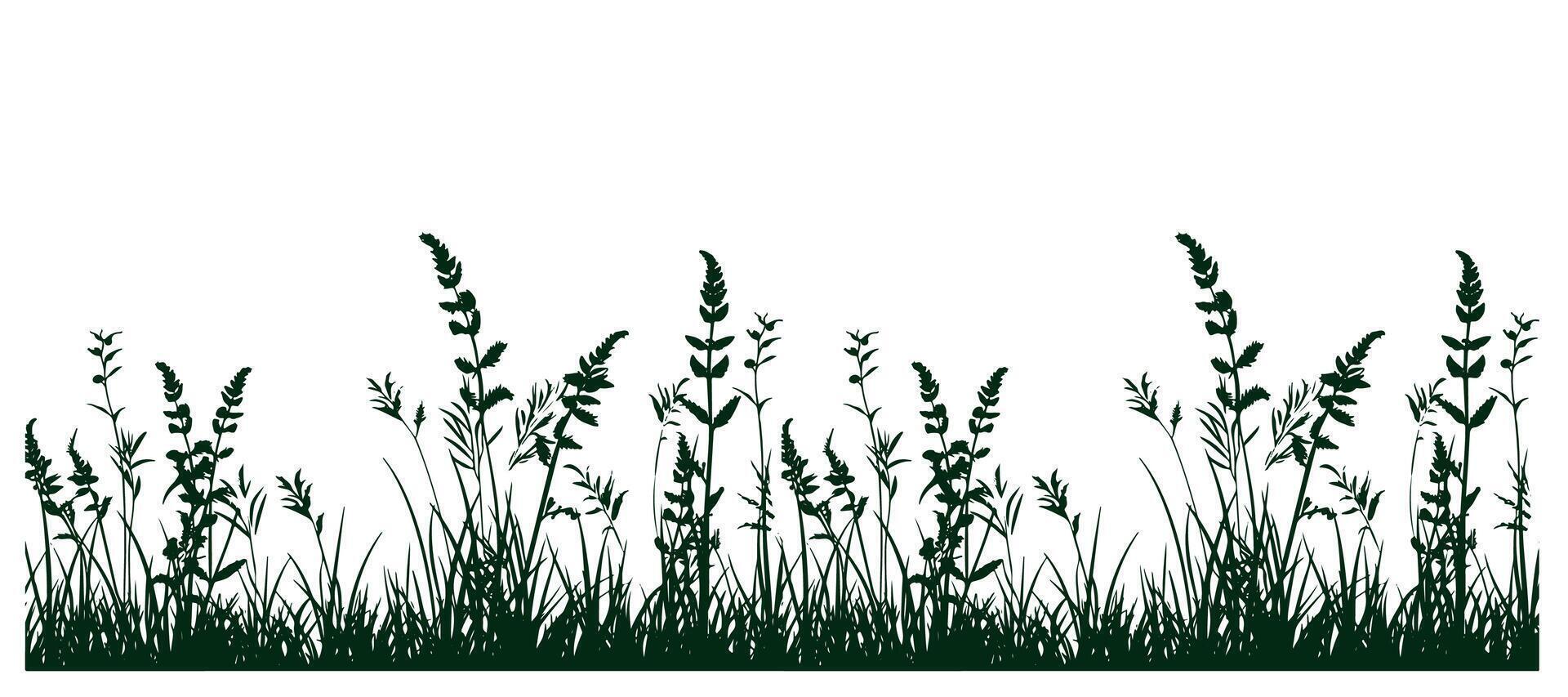 Sketch weeds, herbal, flowers and cereals. vector