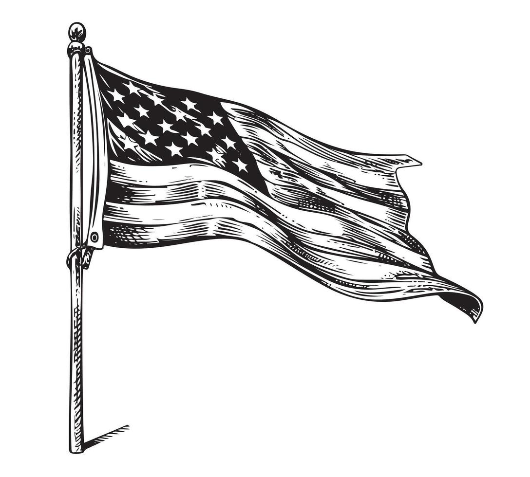 National American flag vector