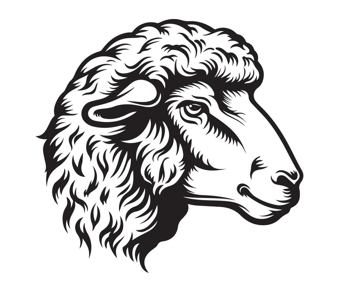 Sketch of sheep, Hand drawn illustration vector