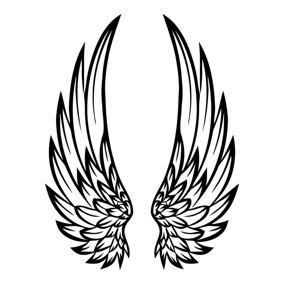 two wings with black and white lines on a white background vector