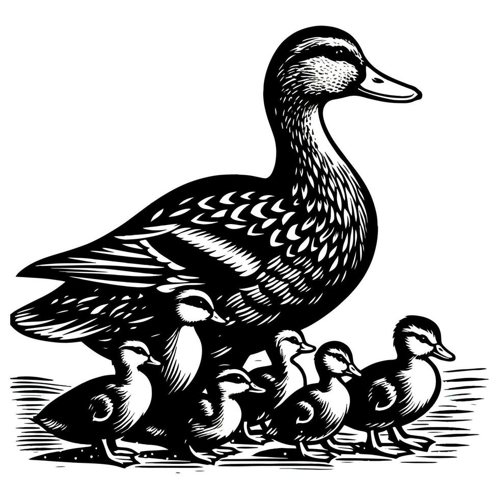 Duck With Duckling Walking and Cute Baby Duck duck illustration vector