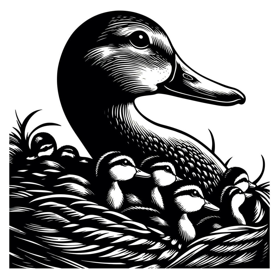 Duck With Duckling Walking and Cute Baby Duck duck illustration vector