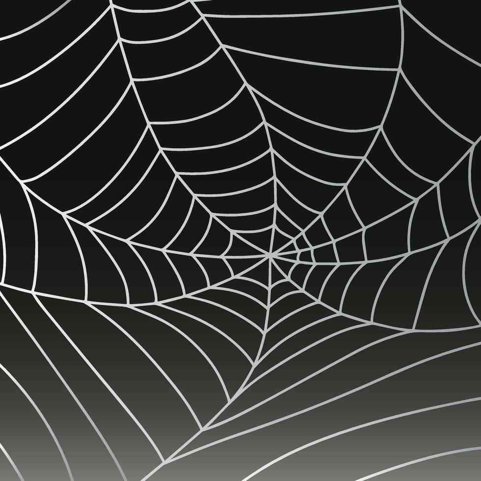 Halloween web. Frame, background for decoration. Handmade web. illustration. vector