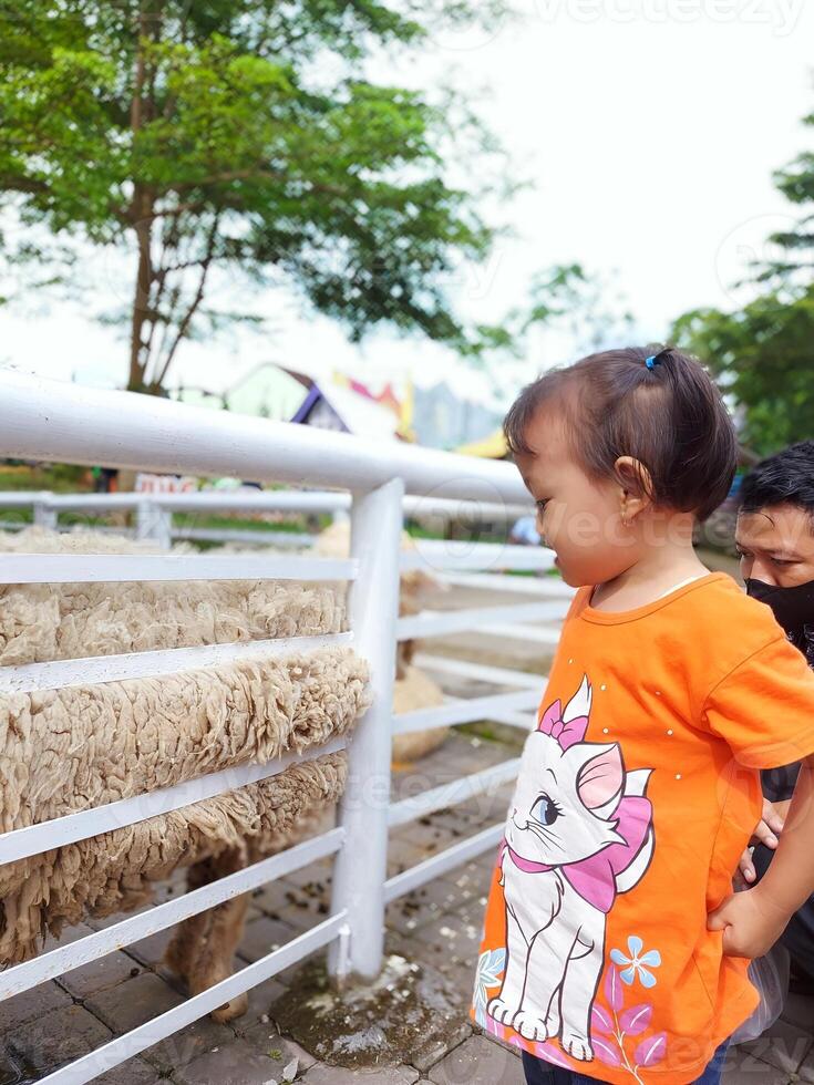Children actively play and feed the animals, together with their parents in the mini zoo in the park area, enjoying the holiday period, doing positive activities and having fun on Sundays photo