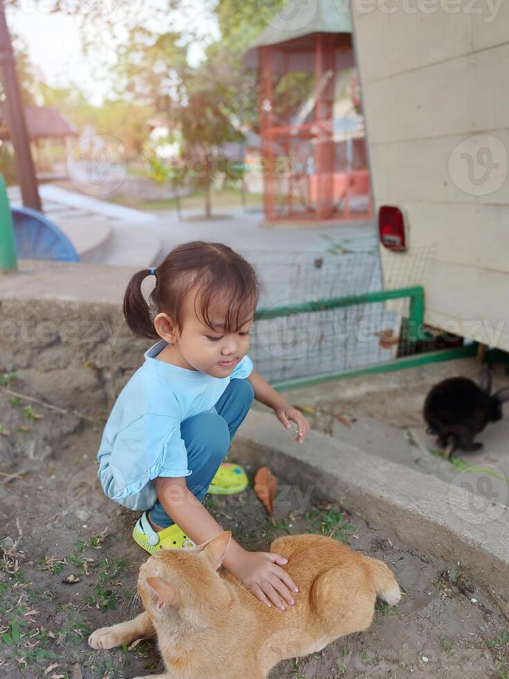 Children actively play and feed the animals, together with their parents in the mini zoo in the park area, enjoying the holiday period, doing positive activities and having fun on Sundays photo