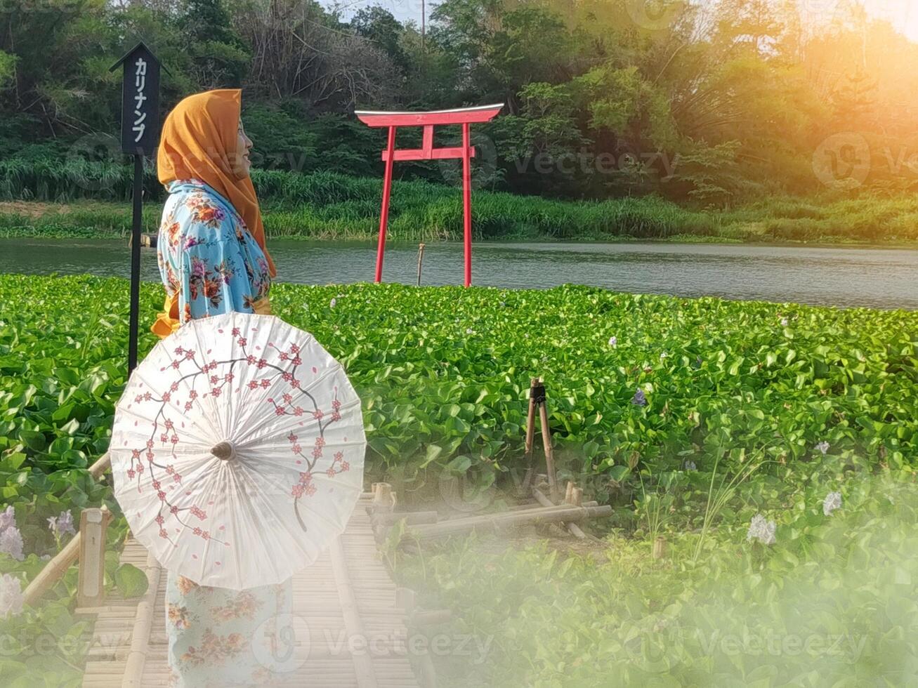 Charming Japanese woman wearing a kimono and holding an umbrella amidst stunning nature, captured at sunset photo
