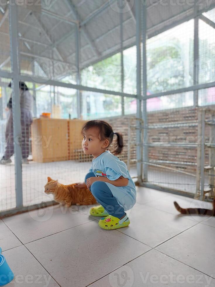 Children actively play and feed the animals, together with their parents in the mini zoo in the park area, enjoying the holiday period, doing positive activities and having fun on Sundays photo