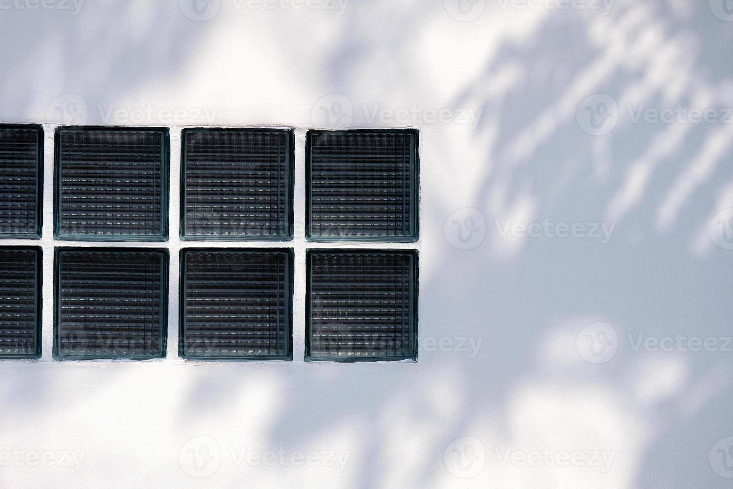 Light and Leaf Shadow on Surface of wall Texture background, black and white style. Nature tropical leaves Tree branch and plant shade, sunlight from sunshine dappled.Wall decorated with clear blocks. photo