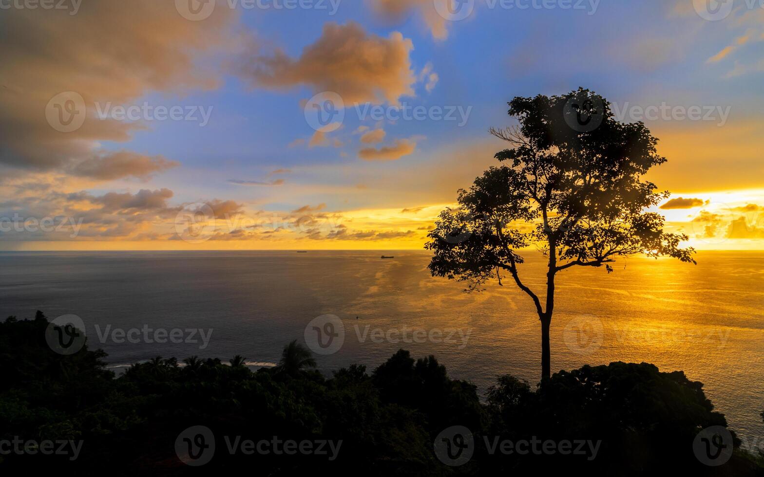 Silhouette of a tree in the beach with colorful sunset over the ocean in the background photo