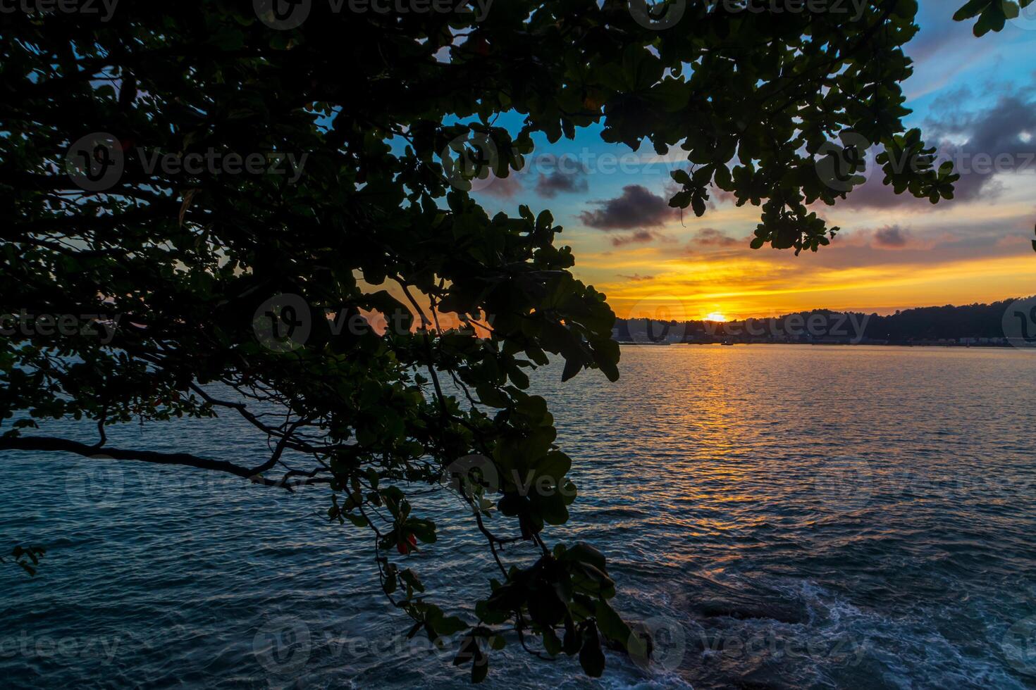Beautiful golden hour sunset over the sea with silhouette of hanging tree branch photo
