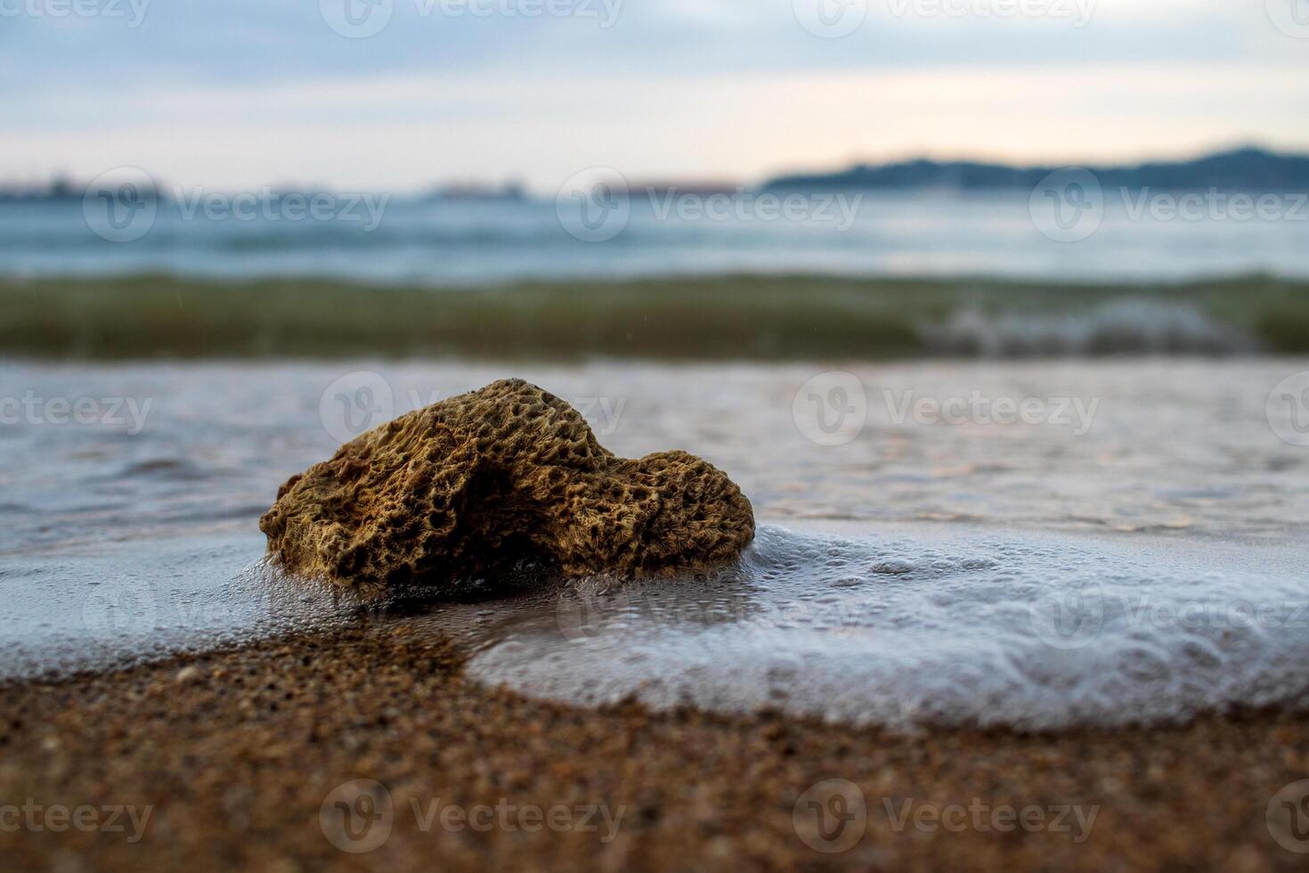 Closeup shot of a coral at beach with splash of wave photo
